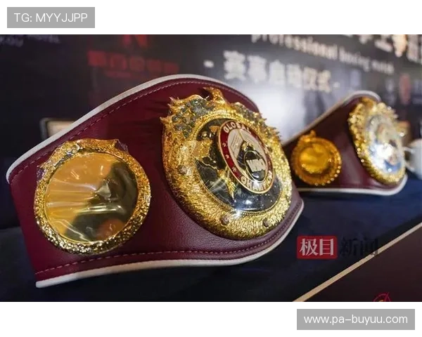 WBO世界拳王争霸赛震撼直播,见证新拳王诞生荣耀时刻 WBO世界拳王争霸赛震撼直播,见证新拳王诞生荣耀时刻